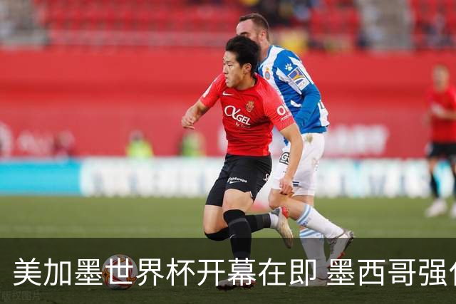 美加墨世界杯开幕在即 墨西哥强化安保措施